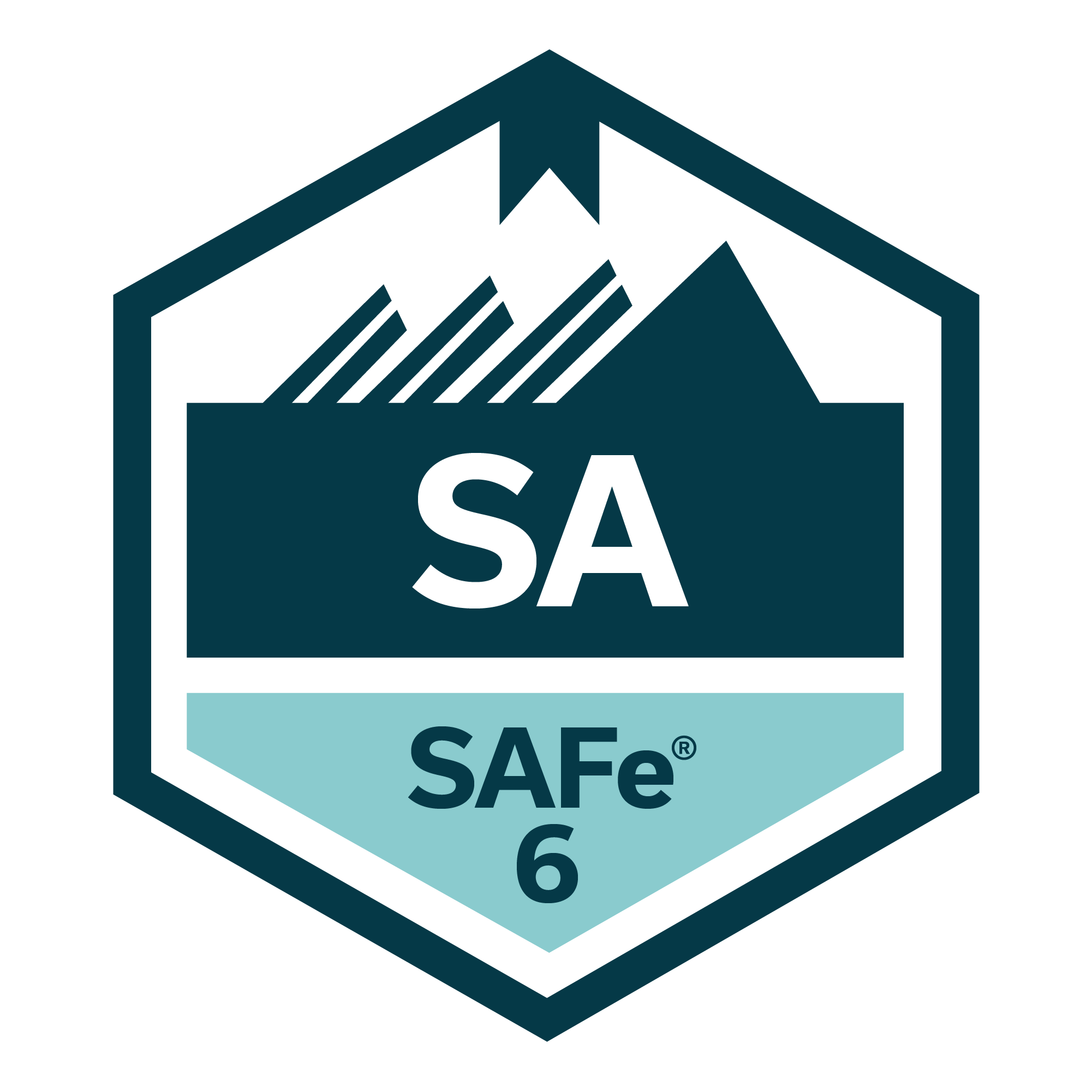 SAFe-6