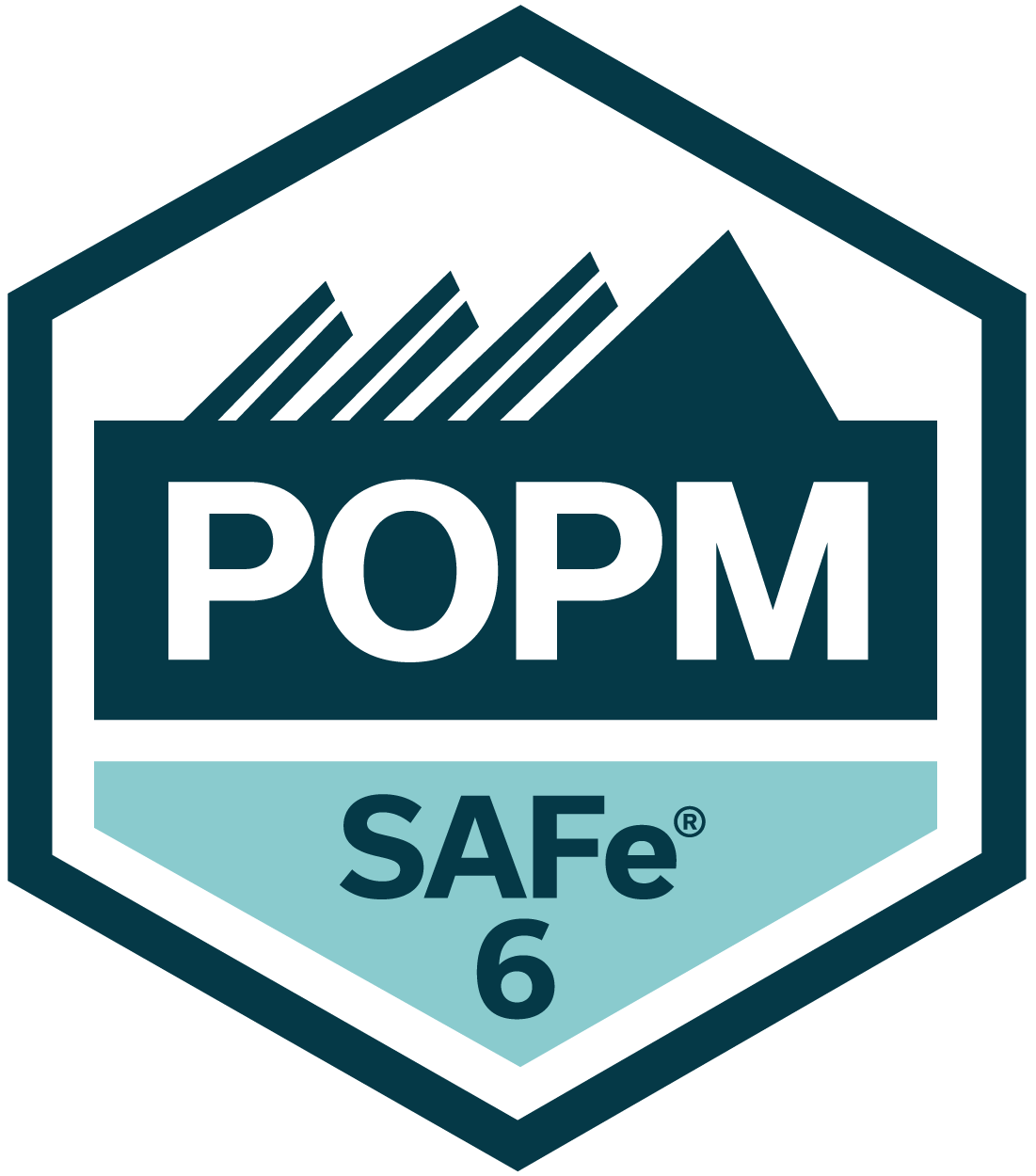 SAfe-POPM-Logo